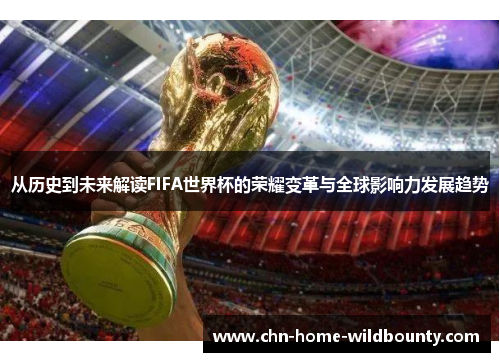 从历史到未来解读FIFA世界杯的荣耀变革与全球影响力发展趋势
