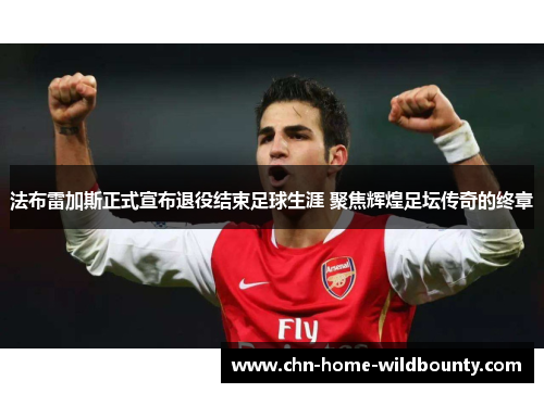 法布雷加斯正式宣布退役结束足球生涯 聚焦辉煌足坛传奇的终章