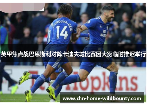 英甲焦点战巴恩斯利对阵卡迪夫城比赛因大雾临时推迟举行