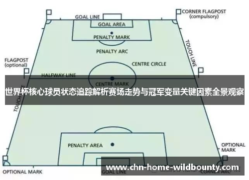 世界杯核心球员状态追踪解析赛场走势与冠军变量关键因素全景观察
